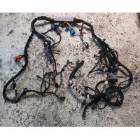 1 Elektrische Verkabelung unter der AWD-Motorhaube mit Erdungsklammer Tesla Model Y 1489058-10-E