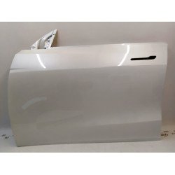 Двері передні ліві (метал) PPSW з ущільнювачем Tesla Model Y 1505460-11-A