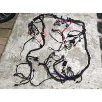 1 Elektrische Verkabelung unter der Motorhaube AWD (Schaden) Tesla Modell Y 2489058-01-B