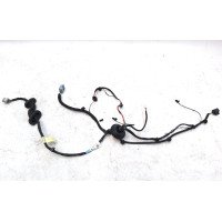 4 Электропроводка двери задней правой с окислением Tesla model S, model S REST 1004426-00-Q