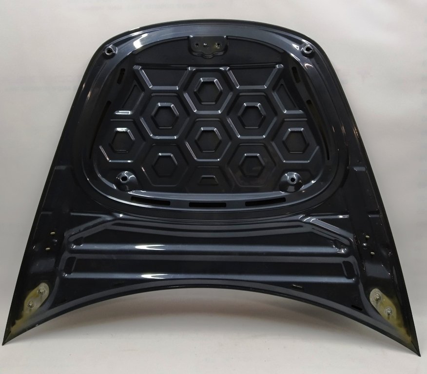 1 Hood assembly with emblem \