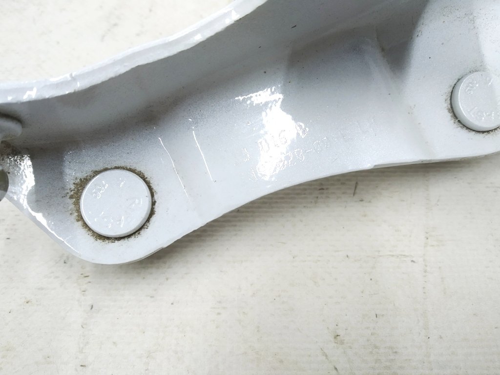 1 Heckklappenscharnier links PPSW Tesla Modell 3 1092820-00-E