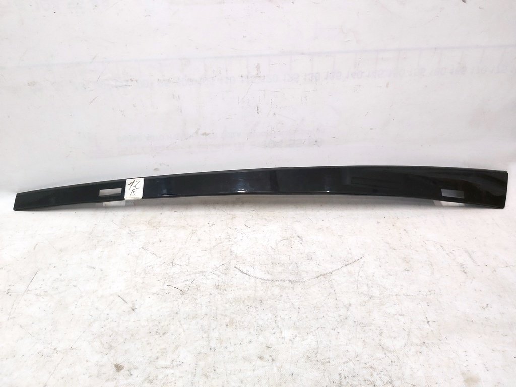 3 1053619-S0-Z Pannello decorativo esterno tetto sinistro Tesla modello S REST 1053619-S0-B