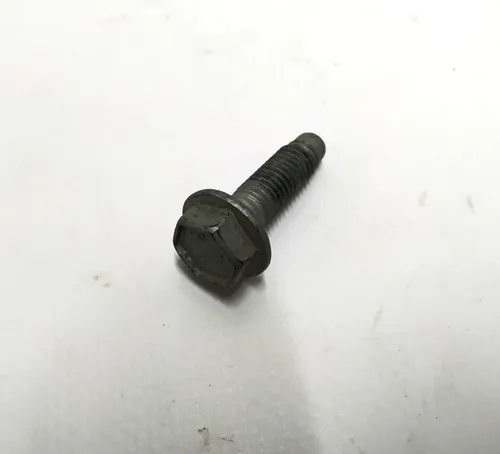 5 Bolt HEX,FLG,M8x25[9.8] Tesla model S, model S REST, model X, model X Mar 2021 1008571-00-C