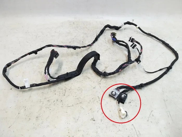 Cableado eléctrico del panel superior de la puerta trasera izquierda (daños) Tesla modelo X 1032881-00-F