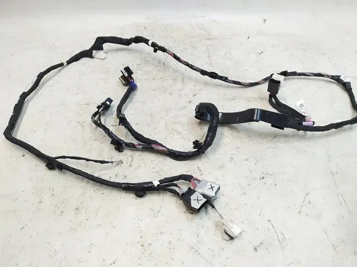 Cableado eléctrico del panel superior de la puerta trasera izquierda (daños) Tesla modelo X 1032881-00-F