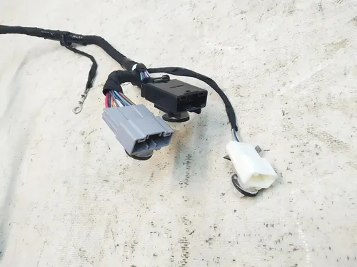 Cableado eléctrico del panel superior de la puerta trasera derecha (daños) Tesla modelo X 1032882-00-F