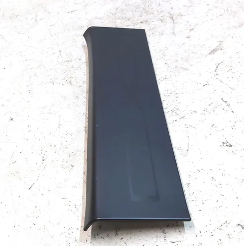 Einstiegsleiste links Hintertür (Metall) Tesla Modell X 1053189-00-F