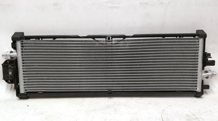 Radiateur de refroidissement principal Tesla modèle 3 1077082-00-C