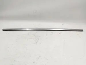 Zierleiste Außentür hinten links Chrom beschädigt Tesla Model 3 1080745-99-G