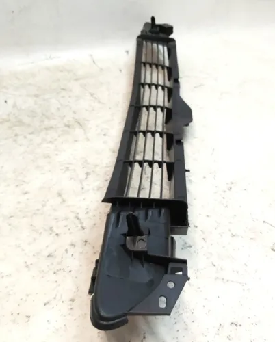 Решітка декоративна передня (гриль) Tesla model 3 1085927-00-C