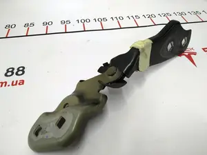 Aro de retención del capó izquierdo Tesla modelo 3 1098792-00-D