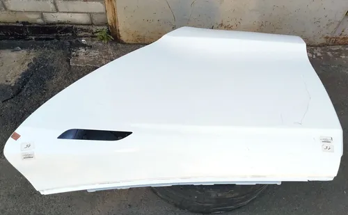 Hintere linke Tür (Metall) PBCW Tesla Model S, Model S REST 6006394-E0-H